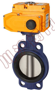 ��С�͵綯���ڵ���