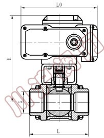 Q911F�綯�������򷧽ṹͼ