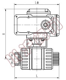 �綯�����򷧽ṹͼ