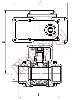 Q911内螺纹电动球阀 结构图