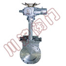 PZ973����բ��