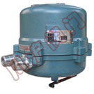 ������ִ�л���