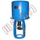  �綯ִ����