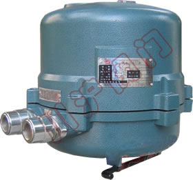 381R/341R���г̸����͵綯ִ����