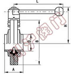 ����ʽ����,�ṹͼ