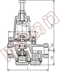 直接作用薄膜式减压阀 ,结构图