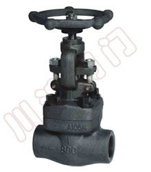 J61Y�͸ֽ�ֹ��