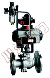 ZSHO�����ж���