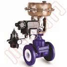  �����ķ���Ĥ���ڷ� 