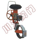 ZMAW������Ĥ���ڵ���