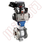 ZSHV����V�͵�����