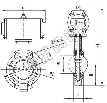 ZMAW������Ĥ���ڵ������γߴ�