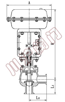 ������������Ĥ���ڷ��ṹͼ