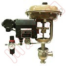 ������������Ĥ���ڷ�