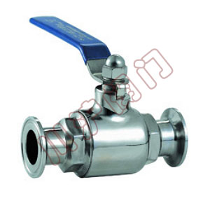 Q81F��������