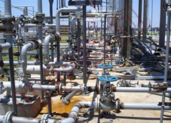 ��ֹ��ʹ���ֳ�