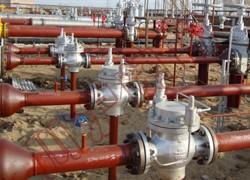 ѹ����Ʒ�|ƽ��բ��ʹ���ֳ�