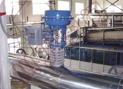 ������������Ĥ���ڷ�ʹ���ֳ�