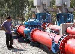 ���ֶԼе���|ˮ�����Ʒ�ʹ���ֳ�