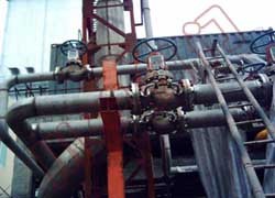 �ֶ���ֹ��ʹ���ֳ�