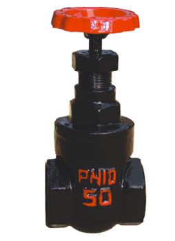 ����������բ��